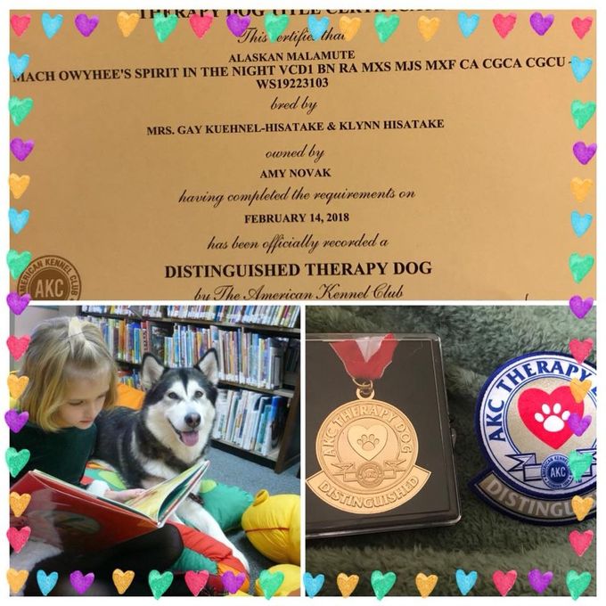 Layla earns her Distinguished Therapy Dog title for making over 400 therapy dog visits!