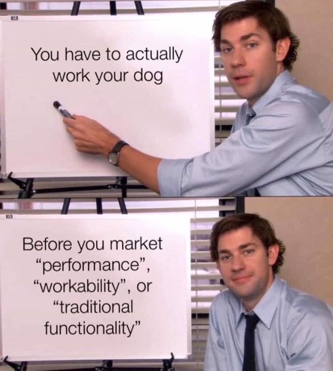 It’s meant to be a funny meme, but please - if you’re looking for a dog for a specific purpose, make sure the breeder has experience with dogs doing that activity. I see many breeders saying “would be great at rally/therapy/obedience/backpacking” and have never done those with their dogs. Ask the breeder how they know or how they’ll test for aptitude. 